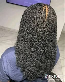 Braids & Protective Styles image 1