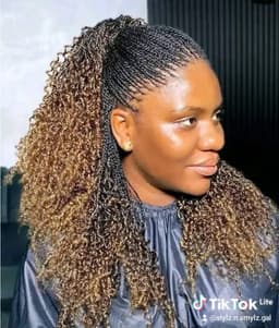 Braids & Protective Styles image 2