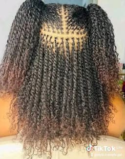 Braids & Protective Styles image 3