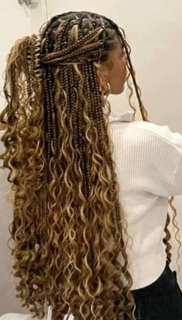 Braids & Protective Styles image 7