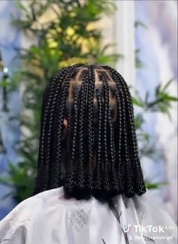Braids & Protective Styles image 8