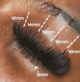 Luxe Semi-Permanent Lashes image 6
